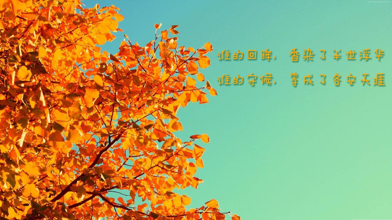 网红商城